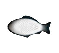 Mipcase Plat de Service en Céramique de Poisson Plateau Blanc pour Dessert et Buffet à Domicile