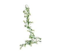 Mipcase Vigne de Fleur de Marguerite simulée Guirlande printanière Faux Guirlande de Printemps Mur Garland Guirlande de Fleurs décor de Printemps Fleur de Soie Blanche