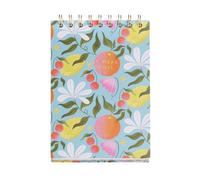 Miquelrius - Planificateur quotidien repas pour améliorer vos habitudes, planificateur quotidien non daté, comprend une liste de courses, 80 feuilles de 80 g/m², double spirale dorée, papier ivoire,