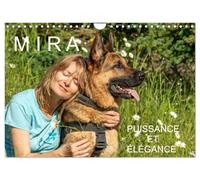 MIRA - PUISSANCE ET ÉLÉGANCE (Calendrier mural 2027 DIN A4 vertical), CALVENDO calendrier mensuel: UN AMOUR DE BERGER ALLEMAND