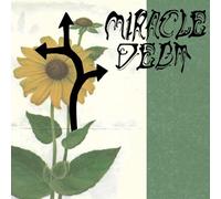 Miracle Debt - Under The Shadow [Import]