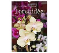 Miracle floral l'orchidée (Calendrier mural 2026 DIN A3 horizontal), CALVENDO calendrier mensuel: Les reines exotiques des plantes d'intérieur