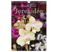 Miracle floral l'orchidée (Calendrier mural 2027 DIN A4 horizontal), CALVENDO calendrier mensuel: Les reines exotiques des plantes d'intérieur