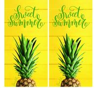 Miracle Home. Serviette de Plage en Microfibre Ananas, 100% Poliéster, 95 X 195 Cm. 11805 (Lot de 2)