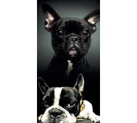 Miracle Home. Serviette de Plage en Microfibre Bull Dog Triste, 100% Polyester, 75 X 145 cm. 11756