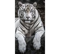 Miracle Home. Serviette de Plage en Microfibre Tigre, 100% Polyester, 75 X 145 Cm. 15084