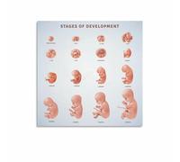 Miracle of Life Poster Fetal Development Chart W y Week Pregnancy Journey Wall Art for Nursery Family Room Decor Gift(Framed,16x24inch(40x60cm))
