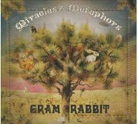 Miracles & Metaphors by Gram Rabbit NEUF