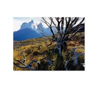 Mirador Cuernos, Chili，Puzzle 1000 Pièces Puzzle en Bois d'impression Haute Définition Défiez Le Problème Stimuler La Créativité Jeu Interactif（75x50cm）-AY78