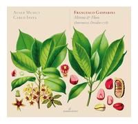 Francesco Gasparini Francesco Gasparini: Mirena & Floro (CD) Album