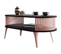 Mirjan24 Rajkon Table basse avec étagère ovale et pieds en métal Noir