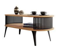 Mirjan24 Rajkon Table basse avec étagère ovale et pieds en métal, table basse, table de salon, table d'appoint, table basse (chêne artisanal doré, noir)