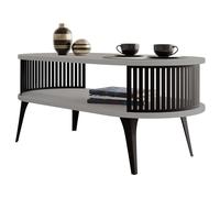 Mirjan24 Rajkon Table basse avec étagère ovale et pieds en métal, table basse, table de salon, table d'appoint, table basse (gris clair, noir)