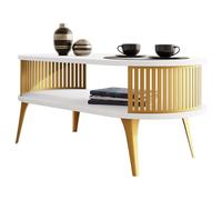 Mirjan24 Rajkon Table basse avec étagère ovale et pieds en métal - Table basse - Table de salon - Table d'appoint - Table basse - Table basse (blanc arctique, doré)