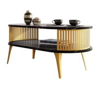 Mirjan24 Table basse Rajkon avec étagère, forme ovale, pieds en métal, table basse, table de salon, table d'appoint, table basse (Black Pietra Grigia, doré)
