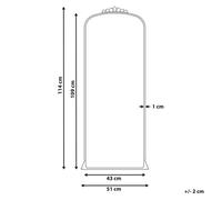 Miroir 51 x 114 cm doré LIVRY