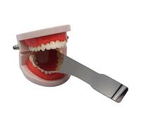 Miroir Antibuée Automatique Dentaire LED Réflecteur de Photographie Orale Désembuage Buccal Occlusal Lingual Fournitures de Dentiste(A)