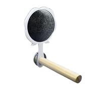 Miroir avec perchoir pour perroquet et balançoire pour perruche, canaris, calopsitte beige et blanc 11 x 7,8 x 12,5 cm