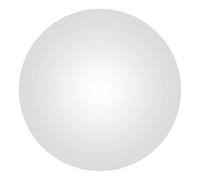 Miroir Convexe Léger Anti Vol pour Sécurité, Angle Large | Plastique Argenté, Réflexions Nettes et Précises, pour Entreprises et Particuliers, Usage Intérieur Extérieur