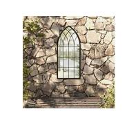 vidaXL Miroir de jardin Noir 100x45 cm Fer pour utilisation extérieure Noir G