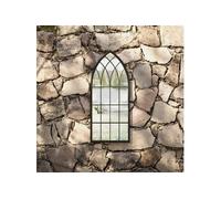 Vidaxl Miroir De Jardin Noir 70x30 Cm Fer Pour Utilisation Extã©Rieure