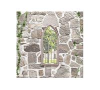 Miroir de Jardin Fer Utilisation Extérieure Multi-taille Sable/Noir vidaXL