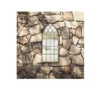 vidaXL Miroir de Jardin Miroir Mural Miroir Décoratif Miroir Suspendu Jardin Arrière-Cour Sable 70x30 cm Fer pour Utilisation Extérieure