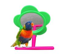 Miroir d'oiseau pour la Cage, Perche de perchet en Bois interactif | Miroir de Perroquet résistant aux morsures avec Support, Accessoires à Cage à Oiseaux pour perruches, Perruche, Moineau
