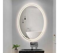 Miroir éclairé de salle de bain sans brouillard 32/36/40 pouces Miroir de maquillage de salle de bain à LED ovale avec 3 couleurs clair, mural, interrupteur tactile, brisé (lumière avant, 24x16