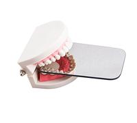 Miroir Intrabuccal Photographique en Verre Miroir Orthodontie à Double Face Miroir Intra-Oral pour Clinique Dentaire