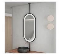 Miroir Ovale à Tige Suspendue avec éclairage LED Rotatif, éclairage Tricolore et luminosité réglable, idéal pour Le Salon, la Chambre ou Le vestiaire (Noir, 40 x 80 cm)