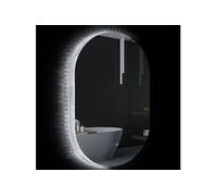 Miroir ovale mural lumineux LED de salle de bain 81 x 51 cm avec 3 couleurs, luminosité réglable interrupteur tactile système antibuée transparent