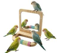 Miroir pour cage pour perchoir interactif en bois perroquets | Miroir jouet pour cocorite, pinsons inséparables, balcons, cour, patio