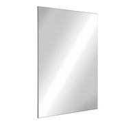 Miroir rectangle - Inox - incassable - à fixations invisibles - 595 x 980 mm DELABIE