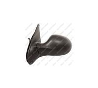 PRASCO RN3267114 Rétroviseur extérieur ajustable de l'intérieur gauche Compatible avec RENAULT Clio 3 Grandtour KR0/1