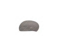 PRASCO DS7007414 Coque de rétroviseur extérieur