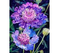 MIRONS 11CT Canevas Broderie Point de Croix Kit Complet, Fleurs DIY Crafts Kits de Couture à la Main Broderie Estampée pour les Débutants Motif Pré-imprimé 40x50cm