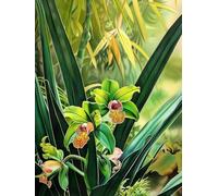 MIRONS 11CT Canevas Broderie Point de Croix Kit Complet, Fleurs DIY Crafts Kits de Couture à la Main Broderie Estampée pour les Débutants Motif Pré-imprimé 40x50cm