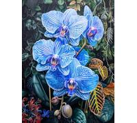 MIRONS 11CT Canevas Broderie Point de Croix Kit Complet, Fleurs Kit de Broderie au Point de Croix avec Motif Imprimé, Kits de Démarrage de Broderie 40x50cm