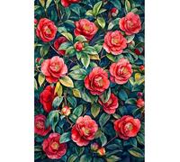 MIRONS 11CT Canevas Broderie Point de Croix Kit Complet, Fleurs Kit de Broderie au Point de Croix avec Motif Imprimé, Kits de Démarrage de Broderie 40x50cm