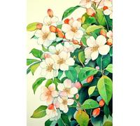 MIRONS 11CT Canevas Broderie Point de Croix Kit Complet, Fleurs Kit de Broderie au Point de Croix avec Motif Imprimé, Kits de Démarrage de Broderie 40x50cm