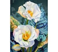 MIRONS 11CT Canevas Broderie Point de Croix Kit Complet, Fleurs Kit de Broderie au Point de Croix avec Motif Imprimé, Kits de Démarrage de Broderie 40x50cm