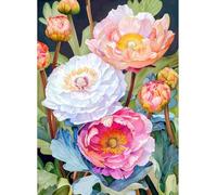 MIRONS 11CT Canevas Broderie Point de Croix Kit Complet, Fleurs Kit de Broderie au Point de Croix avec Motif Imprimé, Kits de Démarrage de Broderie 40x50cm