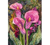 MIRONS 11CT Cross Stitch Embroidery Starter Kit, Fleurs Kit de Couture à la Main Canevas Broderie Point de Croix Kit Complet Adulte Debutant 40x50cm