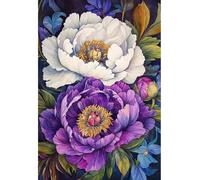 MIRONS 11CT Kit de broderie estampillée au point de croix à faire soi-même : Fleurs gamme complète de kits de démarrage pré-imprimés pour débutants 40x50cm