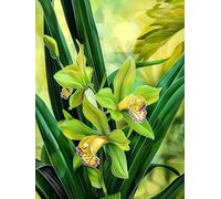 MIRONS 11CT Kit de Démarrage de Broderie, Fleurs Kit Broderie Point de Croix Compté Pré Imprimé Débutant 40x50cm