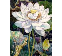 MIRONS 11CT Kits de Point de Croix Estampé Bricolage, Fleurs Kit Canevas Complet Avec Fils au Point de Croix, Broderie Point de Croix Kit Adulte Debutant 40x50cm