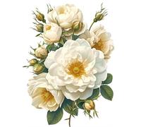 MIRONS 5D Peinture Diamant, Beau motif floral, B, 30 x 40 cm. Diamond Painting Broderie Diamant Point de Croix Peinture par Numéros Adulte Diamond Painting Mosaïque Strass