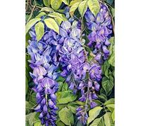 MIRONS 5D Peinture Diamant, fleurs Diamond Painting Broderie Diamant Point de Croix Diamond Painting Mosaïque Strass 40x50cm