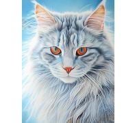 MIRONS Broderie diamant, Images de chat à fourrure, G, 50 x 70 cm. peinture diamant adulte broderie à la main mosaïque perle diamant a coller tableau strass diamant peinture numero 5d puzzle diamant